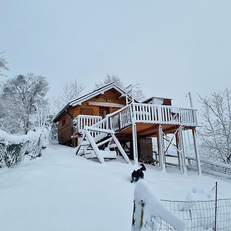 Gnezdo Vid-Ik Villa Catez ob Savi Kültér fotó