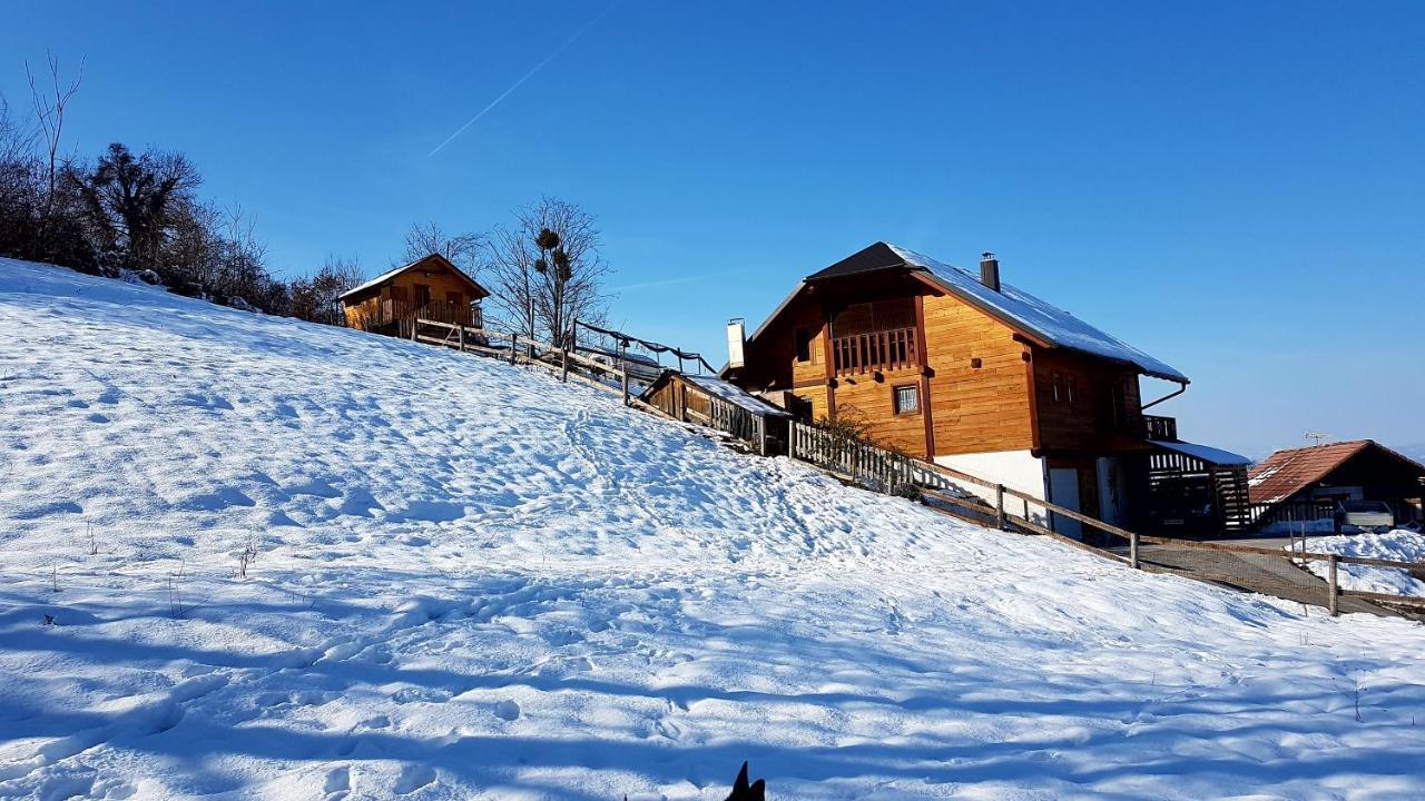 Gnezdo Vid-Ik Villa Catez ob Savi Kültér fotó