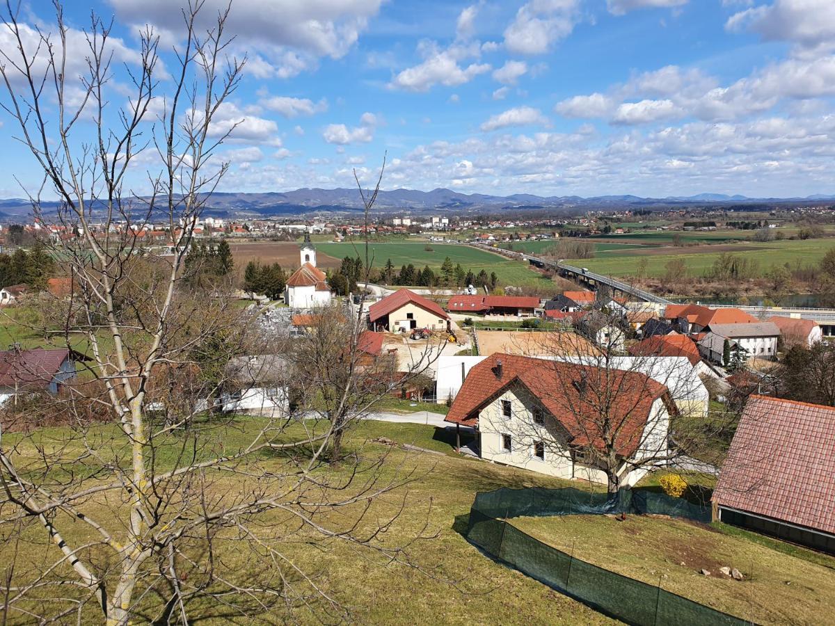 Gnezdo Vid-Ik Villa Catez ob Savi Kültér fotó