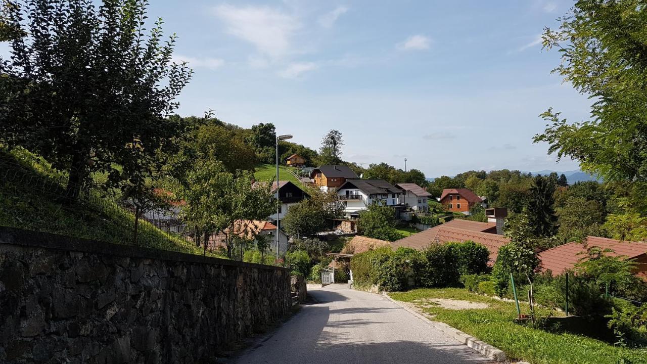 Gnezdo Vid-Ik Villa Catez ob Savi Kültér fotó