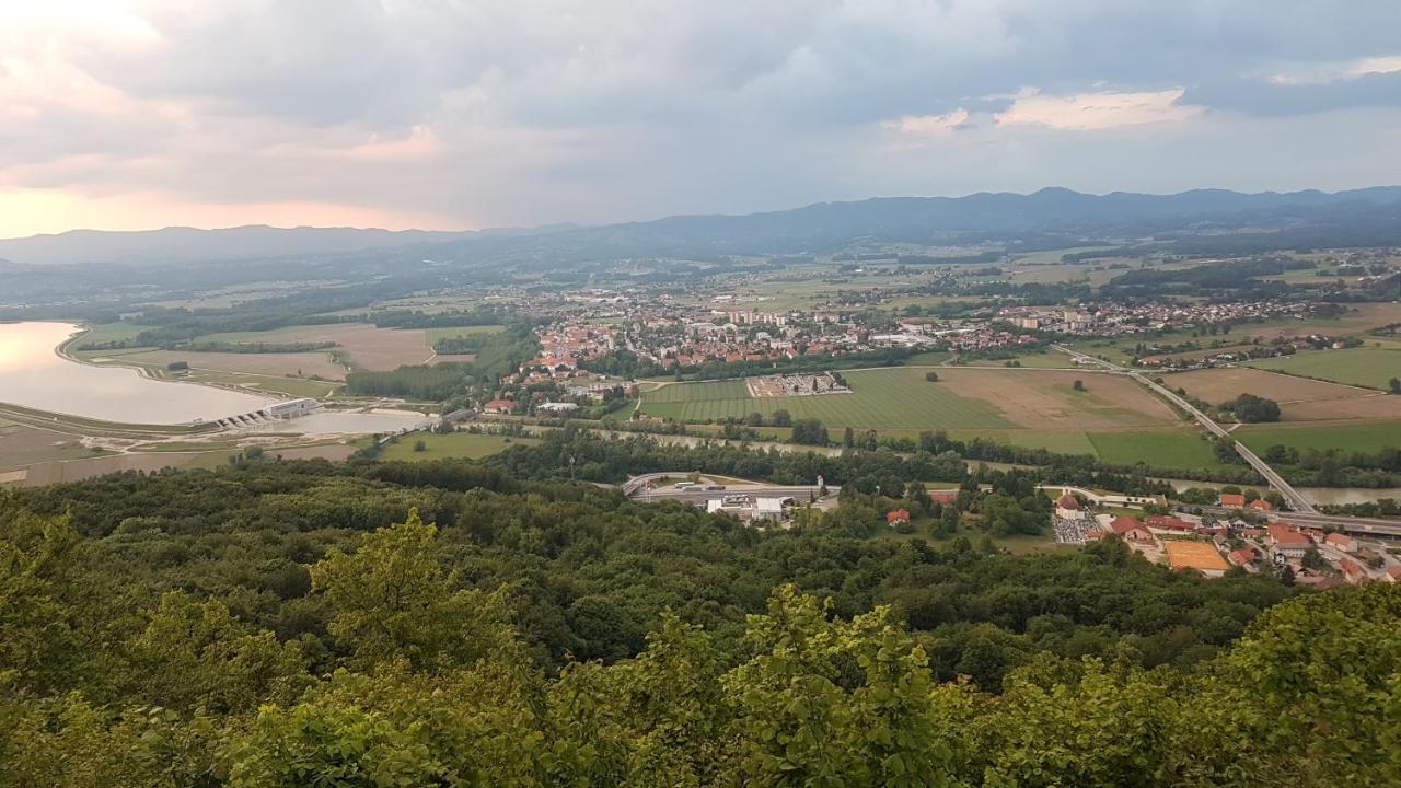 Gnezdo Vid-Ik Villa Catez ob Savi Kültér fotó