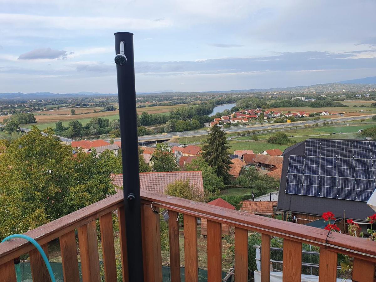 Gnezdo Vid-Ik Villa Catez ob Savi Kültér fotó