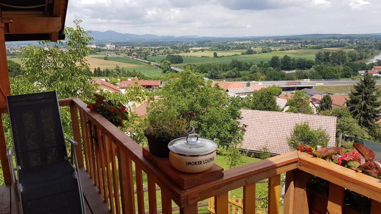 Gnezdo Vid-Ik Villa Catez ob Savi Kültér fotó