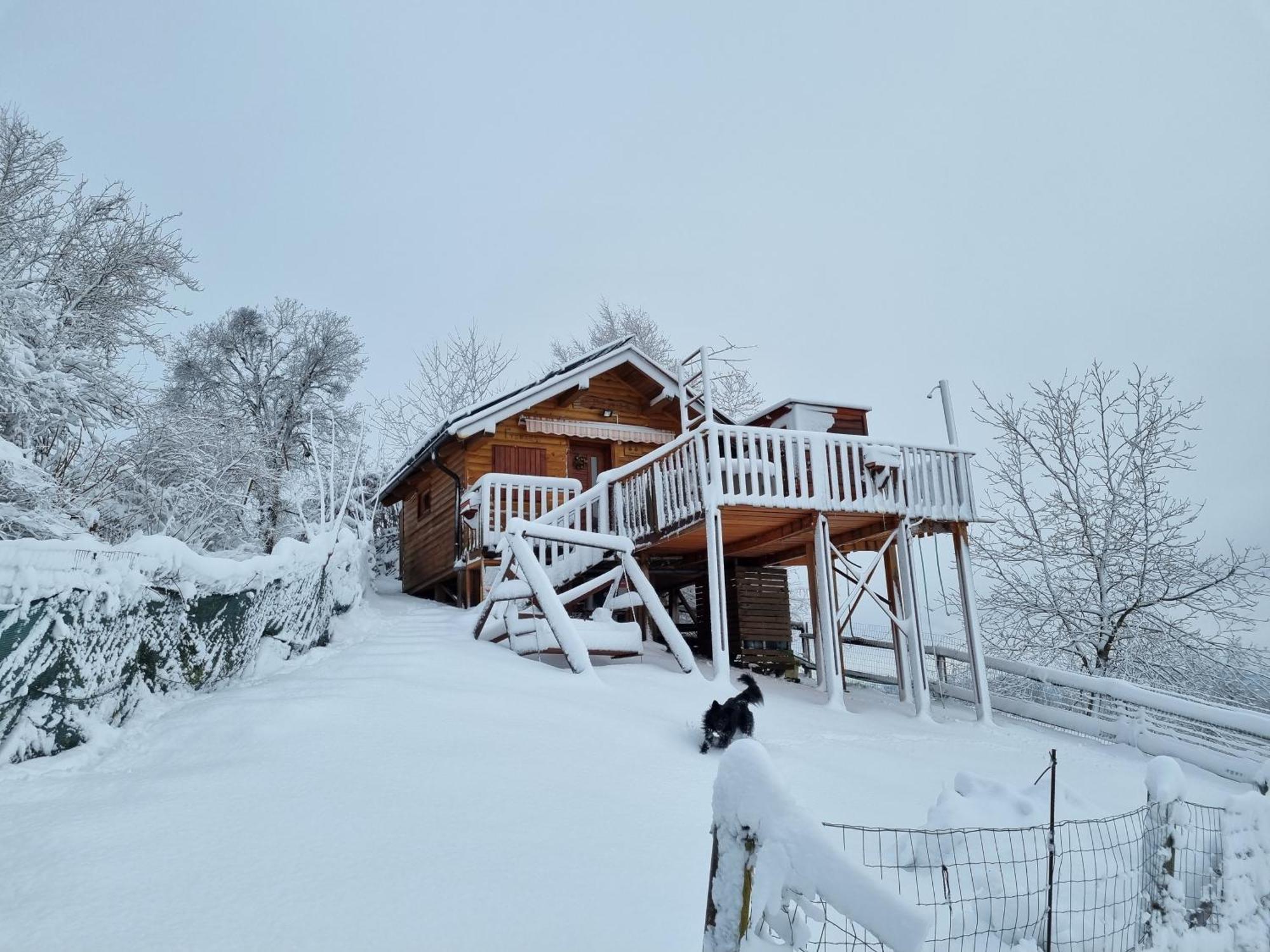 Gnezdo Vid-Ik Villa Catez ob Savi Kültér fotó
